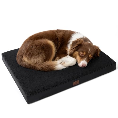 Best Waterproof Dog Beds for Outdoor Use (2026 Guide)