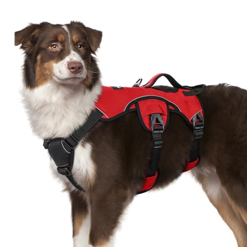 rabbitgoo Escape Proof Dog Harness, Soft Padded Full Body Pet Harness, Reflective Adjustable No Pull Vest with Lift Handle and Leash Clip for Large Dogs Walking Hiking Training, M, Red