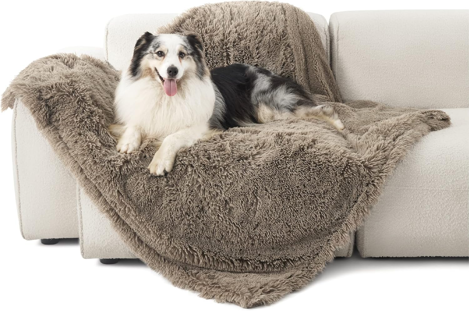 Best Reversible Seasonal Dog Beds for Porches & Indoors (2026)