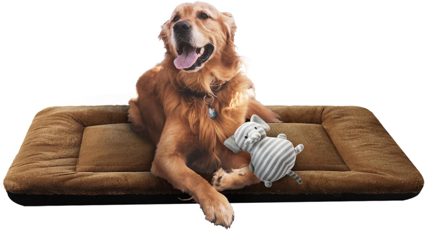 How to Choose a Thick, Durable Outdoor Dog Bed (2026 Guide)