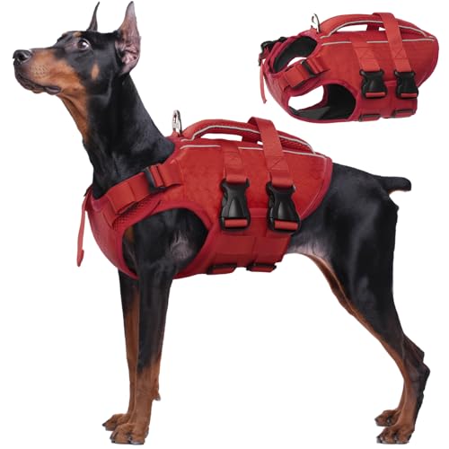 Best Packable Dog Jackets & Raincoats for Summer Storms (2026)