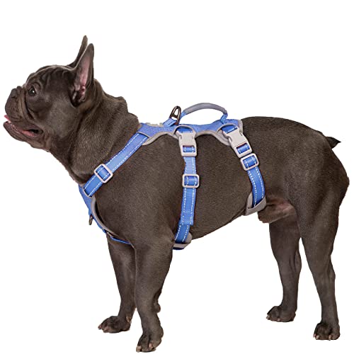 Escape Proof Harness, No Slip Dog Harness Escape Proof,Fully Reflective Harness with Handle, Breathable,Durable, Adjustable Vest for Medium Dogs Walking,Training,and Running Gear(Vista Blue,M)