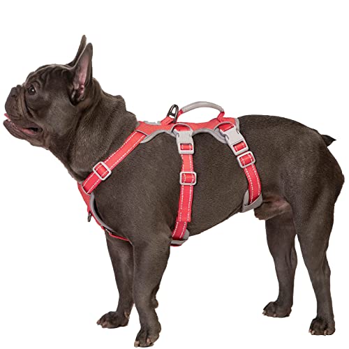 Escape Proof Dog Harness, Secure Dog Harness No Escape, Fully Reflective Harness with Handle, Breathable, Durable, Adjustable Vest for Medium Dogs Walking,and Running Gear (Red,M)