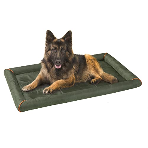 Friends Forever Bolster Dog Crate Mat 48 Inch, Washable Dog Crate Bed, Oxford, Nova Oliver Green