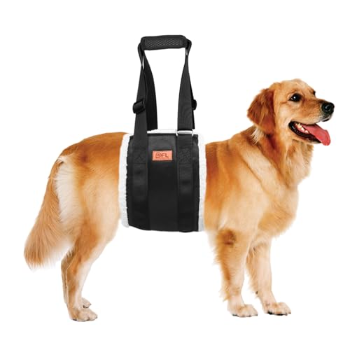 PICK FOR LIFE Lift Harness