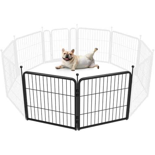 FXW Rollick Unleashed 24"