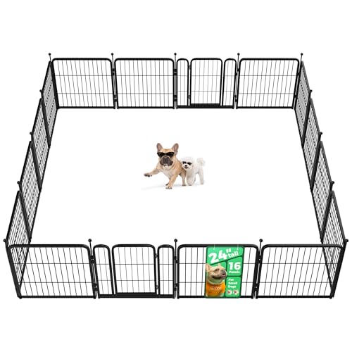 FXW Rollick Unleashed 24" 16-Panel