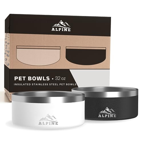 ALPINE Set of 2 (32 oz)
