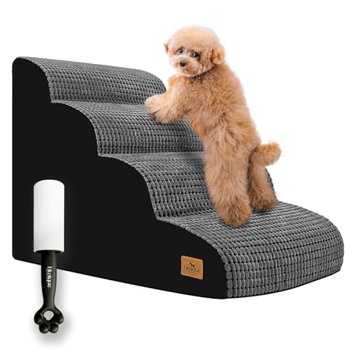 How to Keep Dog Beds Odor-Free After Rainy Walks (2026)