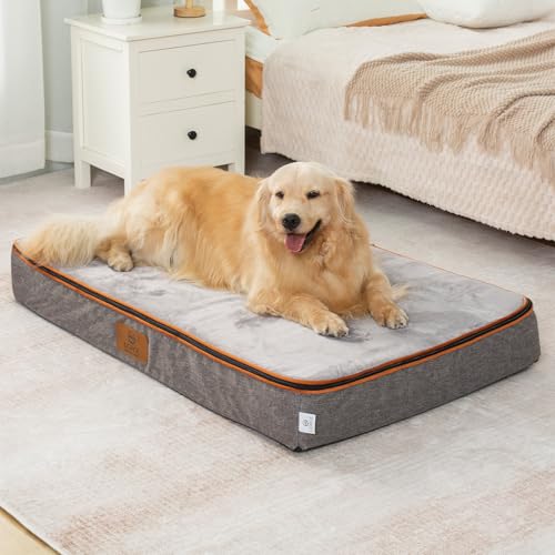 LIORCE Orthopedic Memory Foam XXL