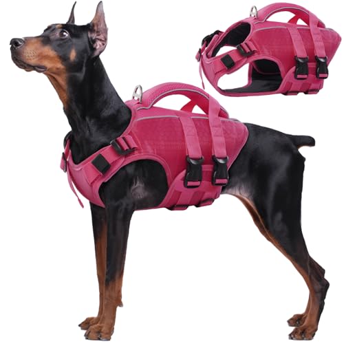 Kuoser Dog Life Jacket High Flotation, Reflective Dogs Life Vest for Swimming Boating, Adjustable Small Medium Large Dog lifejacket, Lightweight Dogs Life Preserver Rescue Handle Spring Summer Pool