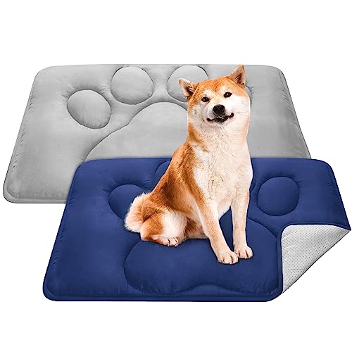 Coldwind 2 Pack Dog Crate Pad (23"x36")