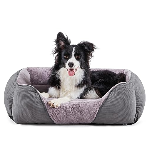 MIXJOY Medium Dog Bed