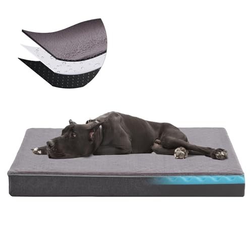 URGVANZ Orthopedic Memory Foam Bed