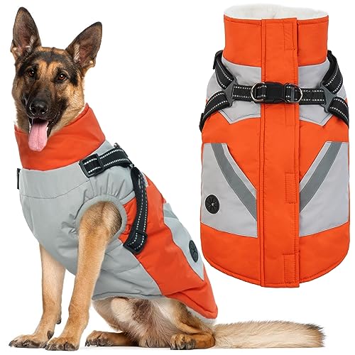 IECOii Dog Coat (Orange)