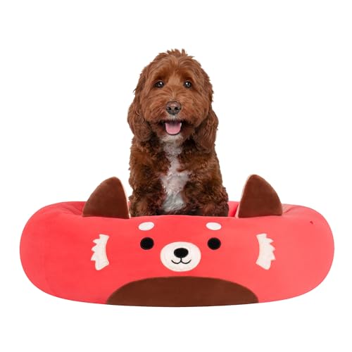 Best Cozy Dog Beds for Fall & Early Winter (2026)
