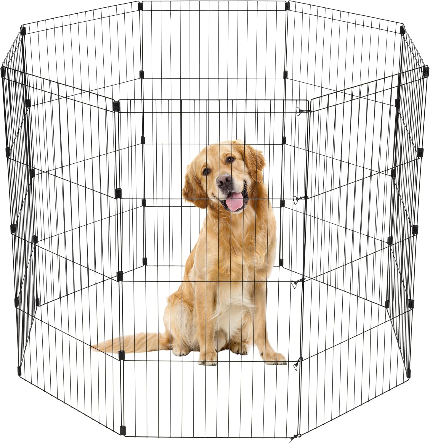 Best Portable Dog Playpens for Fall Picnics & Campus Moves (2026 Guide)