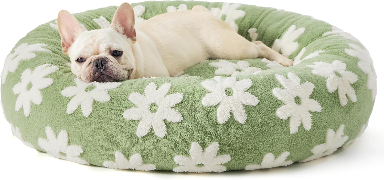 Cooling vs Memory Foam Dog Beds: Which Is Best for Hot Dogs? (2026)