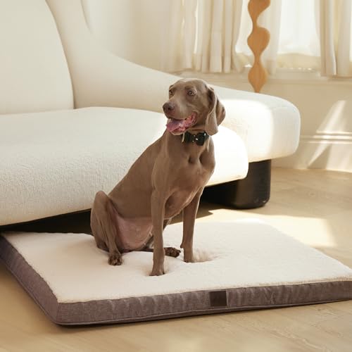 DaysU Orthopedic Dog Bed