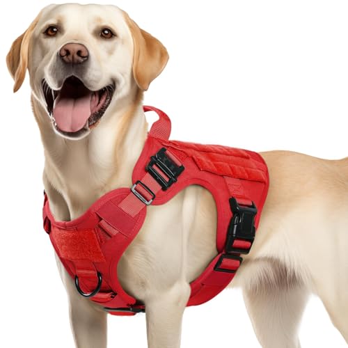 rabbitgoo Tactical Dog Harness (Red, M)