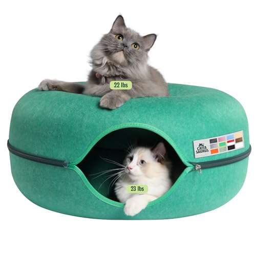CATTASAURUS Peekaboo Cat Cave (Forest Green)