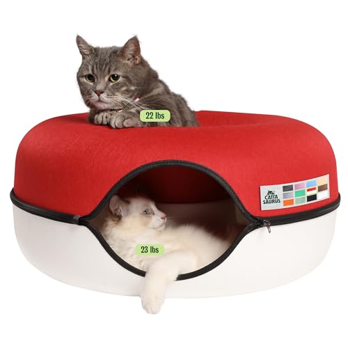 CATTASAURUS Peekaboo Cat Cave