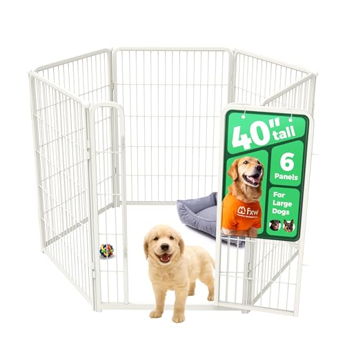 FXW Homeplus Unleashed 40" 6 Panels (White)