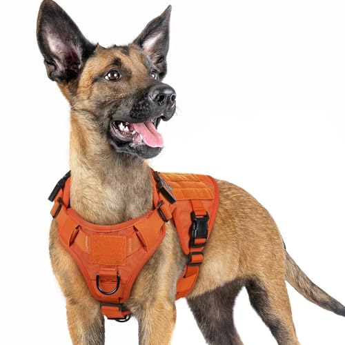 rabbitgoo Tactical Dog Harness for Small, Heavy Duty Pet Harness with Handle, No-Pull Service Vest Small Breed, Adjustable Military Dog Vest for Training Hunting Walking, Orange, S