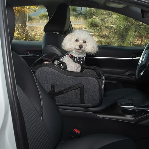 Back Seat Hammock vs Seat Cover vs Booster Seat for Dogs (2026)