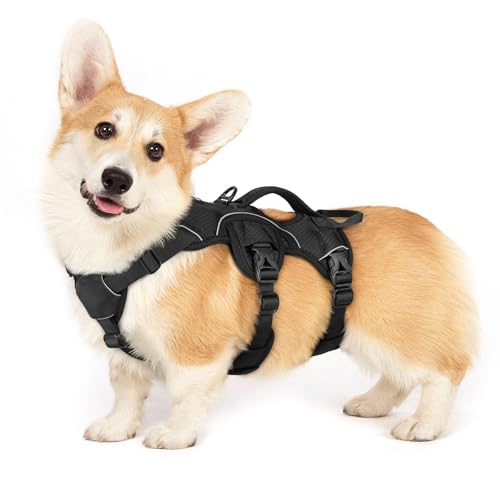 rabbitgoo Escape Proof Dog Harness, Soft Padded Full Body Pet Harness, Reflective Adjustable No Pull Vest with Lift Handle and Leash Clip for Large Dogs Walking Hiking Training, S, Black