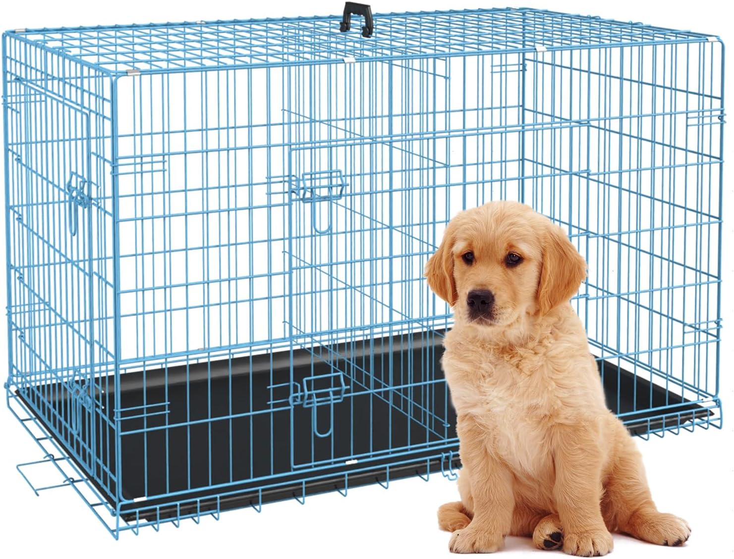 How to Keep Your Dog Cool While Camping (2026)