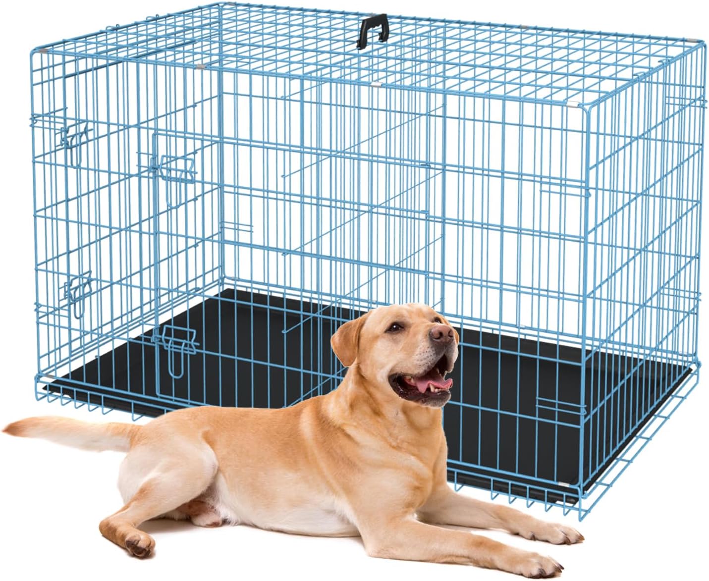 BestPet 36" Blue Foldable Crate