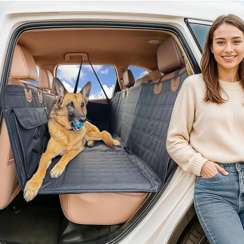 APetsPlanet Back Seat Cover