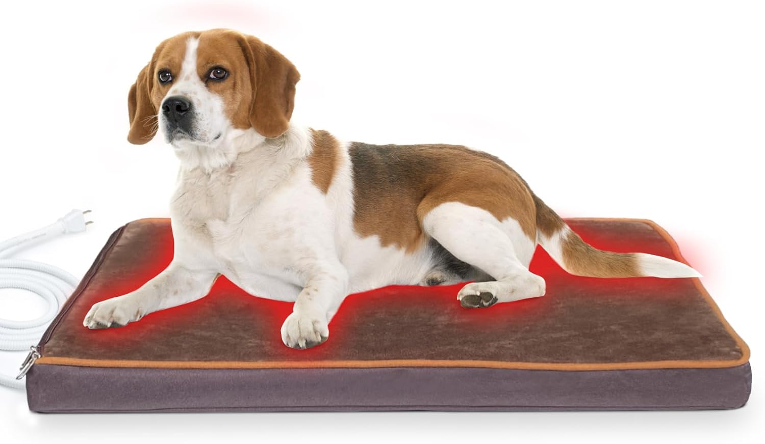 Best Heated Dog Beds for Cool Summer Nights & Early Camping (2026 Guide)