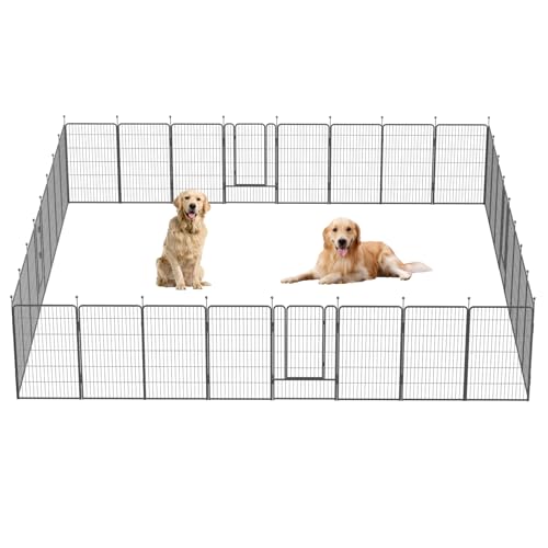 Best Pop-Up Playpens for Halloween Safety & Guest Visits (2026)