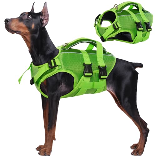 Kuoser Dog Life Jacket (Best Value)