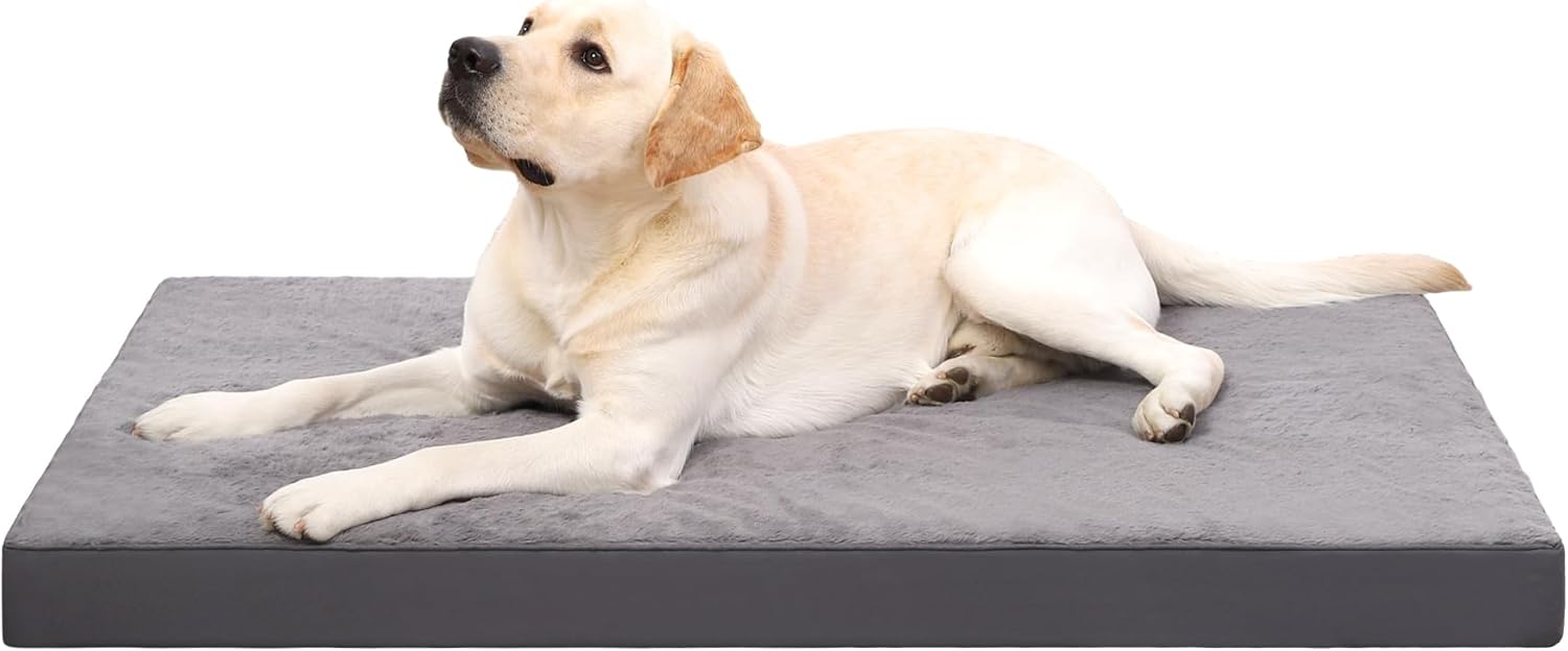 KSIIA Orthopedic Crate Bed