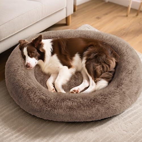 Cozzze Orthopedic Calming Bed
