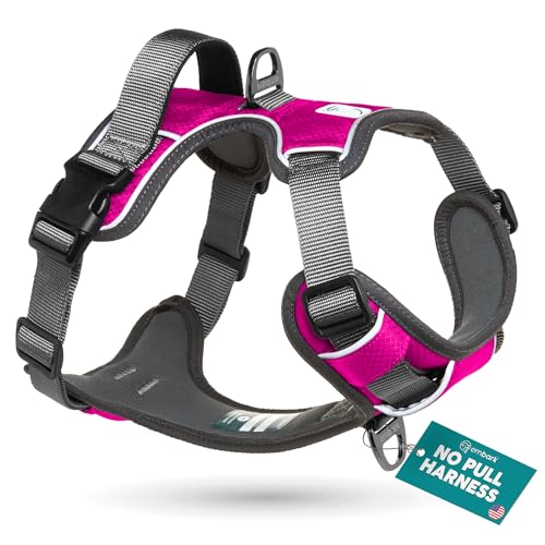 Embark Adventure Dog Harness, No-Pull Reflective Trim Dog Harness for Small, Medium & Large Dogs - Military Grade Nylon, 2 Leash Clips & Gel Lined Handle. Soft & Padded Puppy Dog Vest for Any Breed