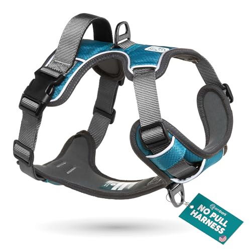 Embark Adventure Dog Harness, No-Pull Reflective Trim Dog Harness for Small, Medium & Large Dogs - Military Grade Nylon, 2 Leash Clips & Gel Lined Handle. Soft & Padded Puppy Dog Vest for Any Breed