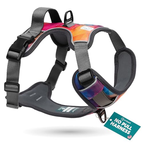 Best Reflective No-Handle vs Handle Harnesses for Camping (2026 Comparison)
