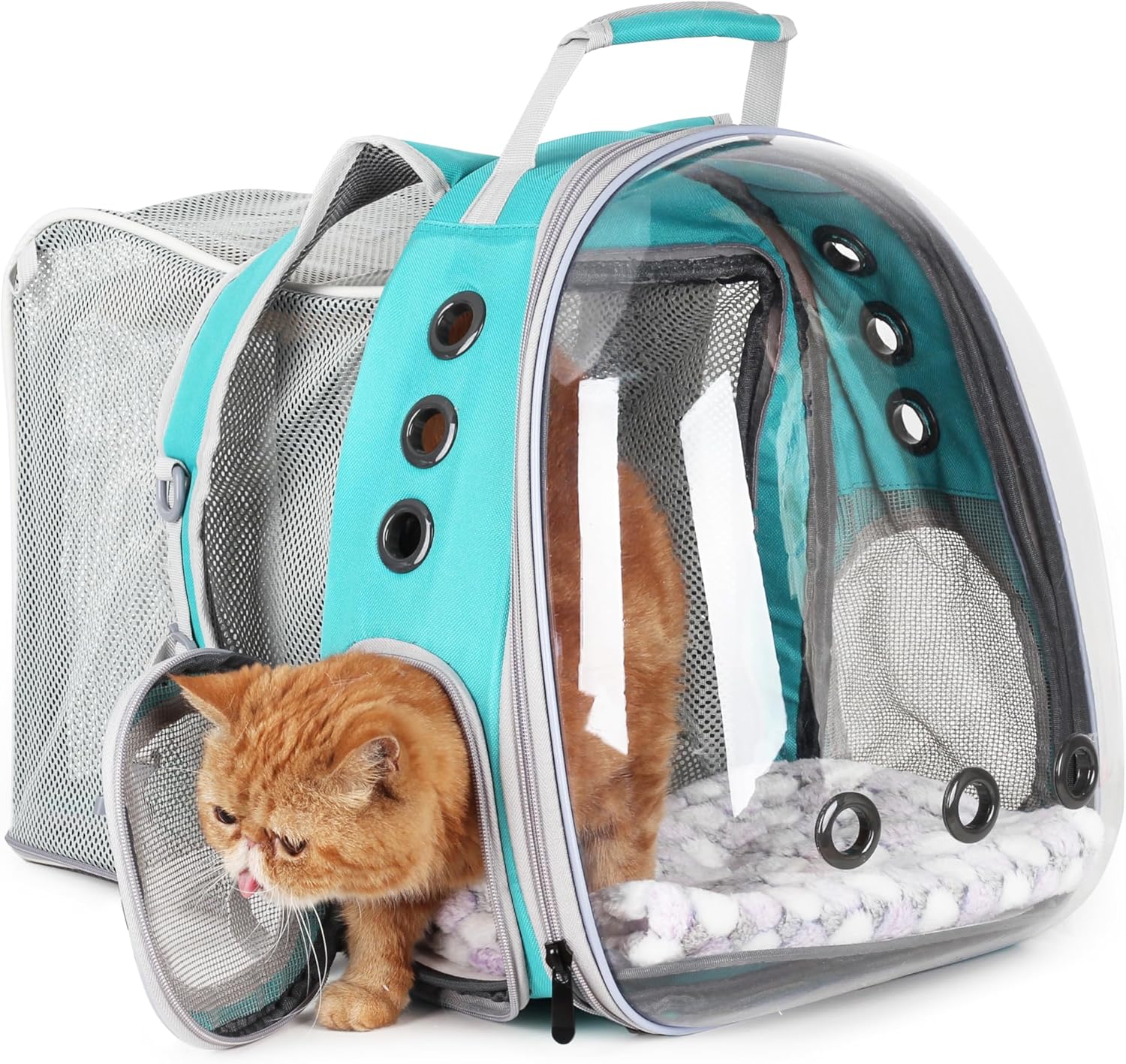 Lollimeow Bubble Backpack (Green)