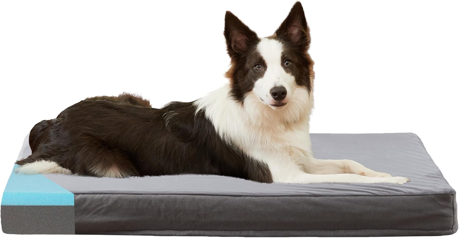 GOHOO PET Orthopedic Memory Foam Bed