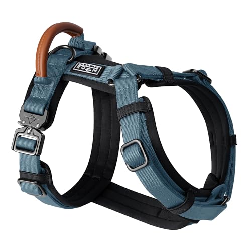 MADE TO ROAM Premium Explorer Harness - Y-Shaped Dog Harness with Adjustable Durable Nylon, Soft Padding, Metal Buckles and Leather Handle for Small, Medium, Large Dogs (California Horizon, Size 3)