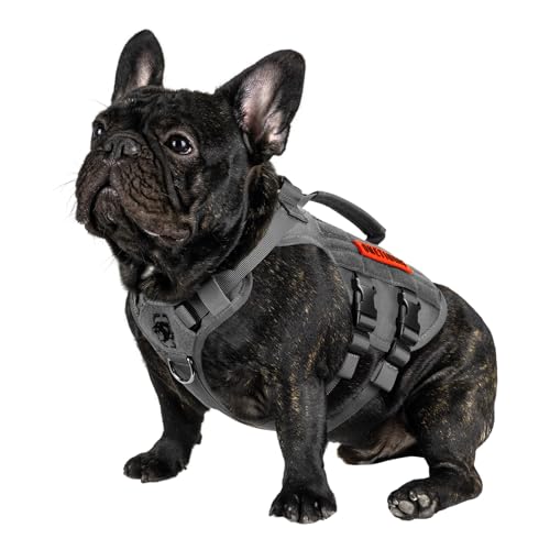 OneTigris Tactical Dog Harness for Small Dogs, No Pull Small Dog Vest Harness with Handles Breathable Military Dogs Molle Vests, Harness for Walking Hiking Training (Grey, XS)