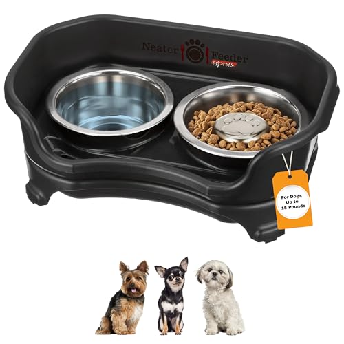 Neater Feeder Express (Black) - Small