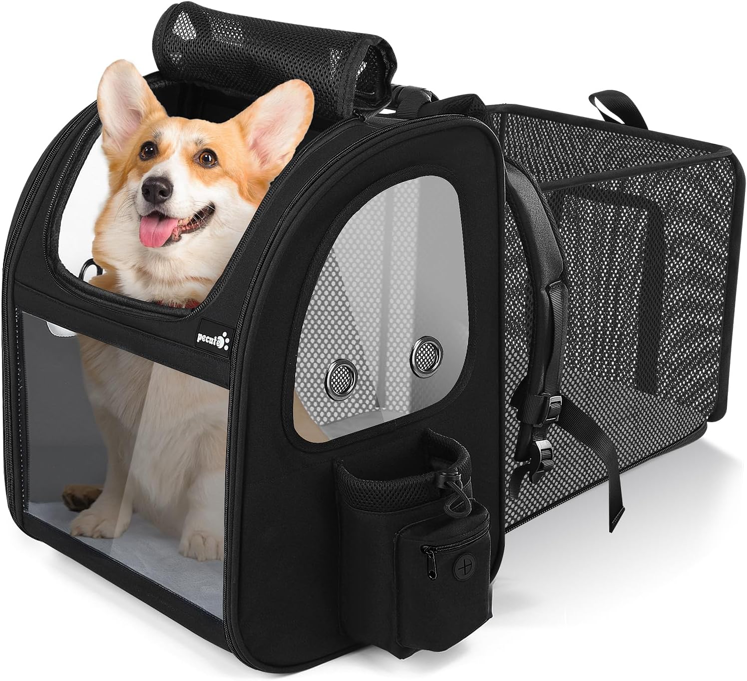 Back Seat Hammock vs Seat Cover vs Booster Seat for Dogs (2026)