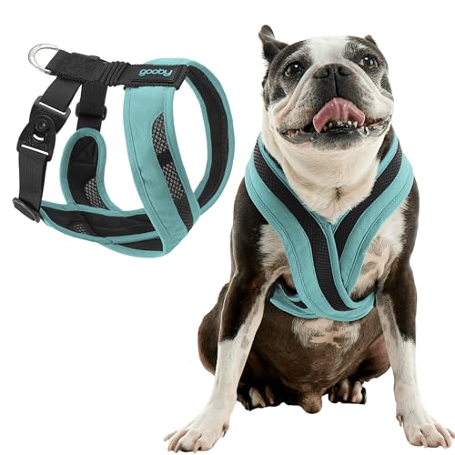 How to Choose a Breathable Harness That Won't Chafe on Fall Hikes (2026)