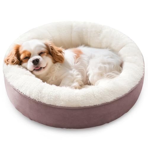 How to Choose a Donut Bed That Resists Flattening (2026)
