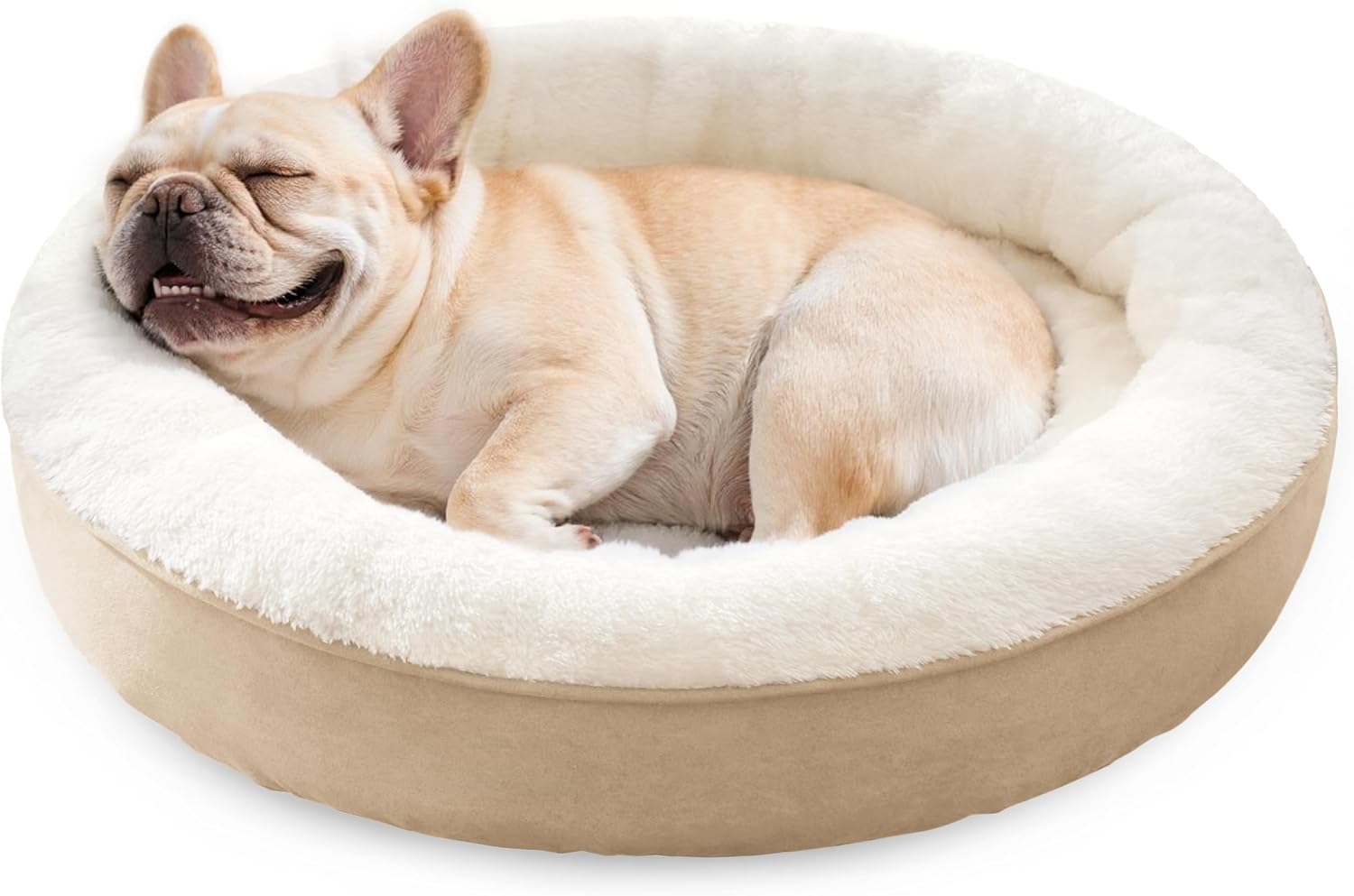 How to Protect Your Sofa From Dog Hair: Best Dog Bed Mats (2026)